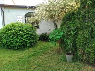 Dam pracę Opiekunce