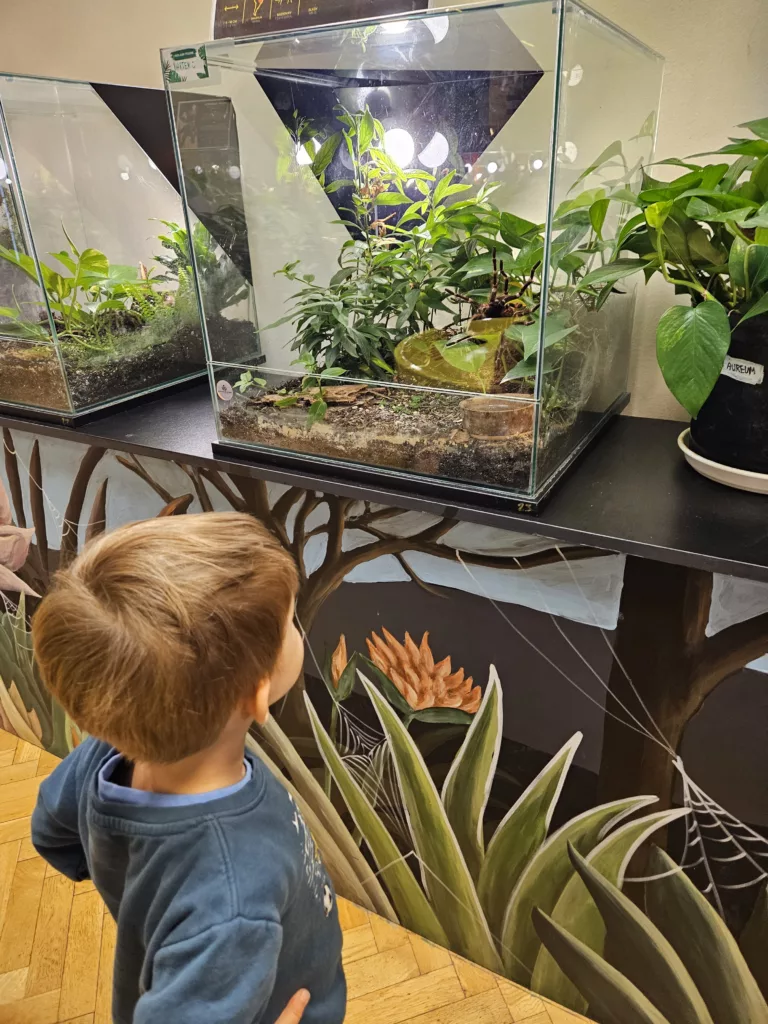 Poszukiwany podopieczny 😊