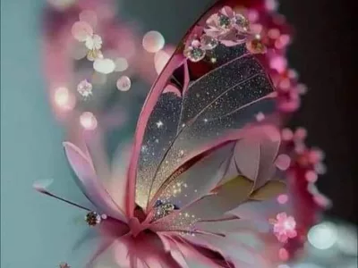 Opieka osób starszych i niepełnosprawnych prywatnie