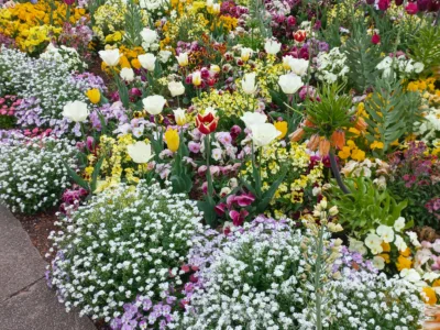 Szukamy opiekunki dla seniora, start 20.08.