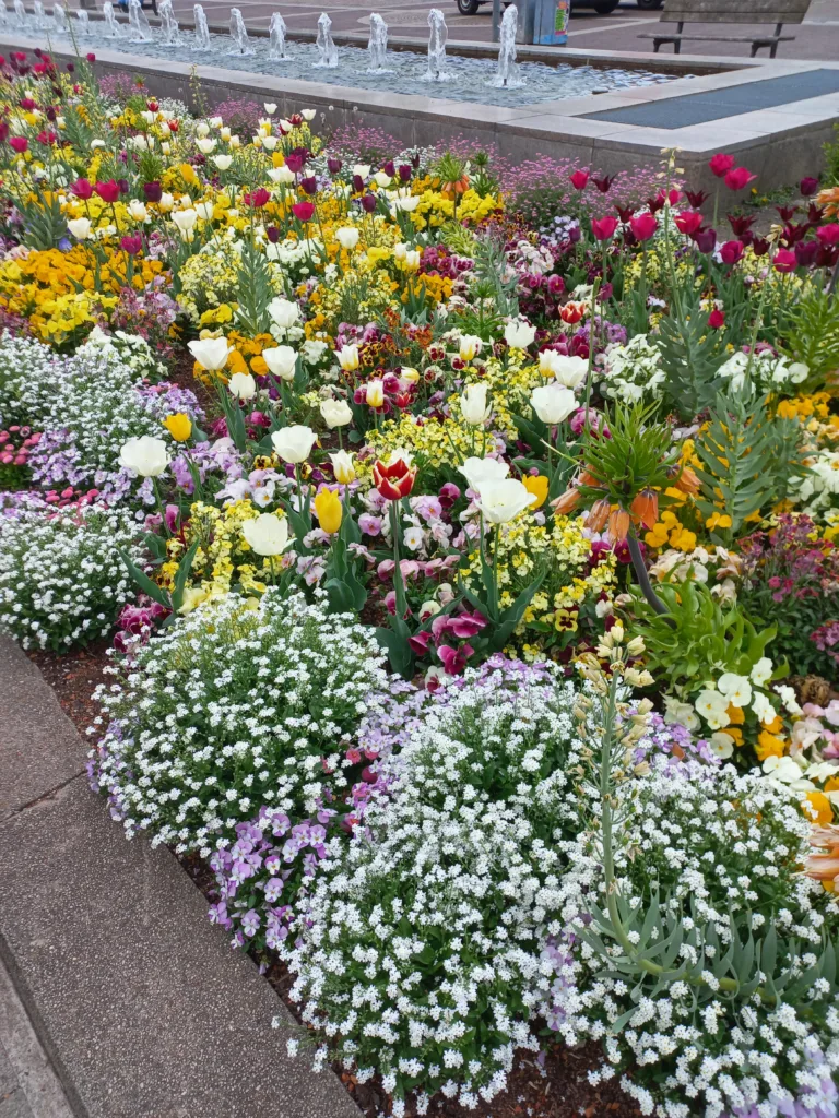 Szukamy opiekunki dla seniora, start 20.08.