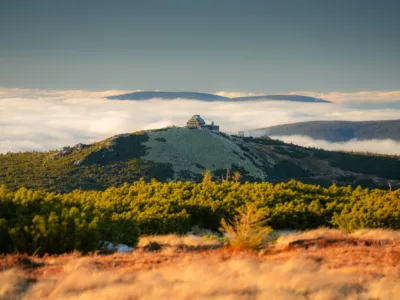 Poszukiwana opiekunka/opiekun dla seniorki Szklarska Poręba