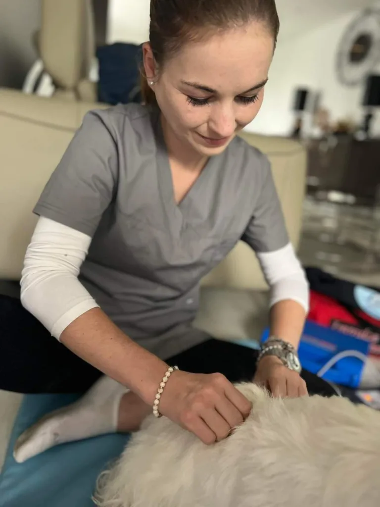 Opiekunka dzienna Poznan na pełen etat