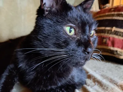 Opieka dla Starszej Pani